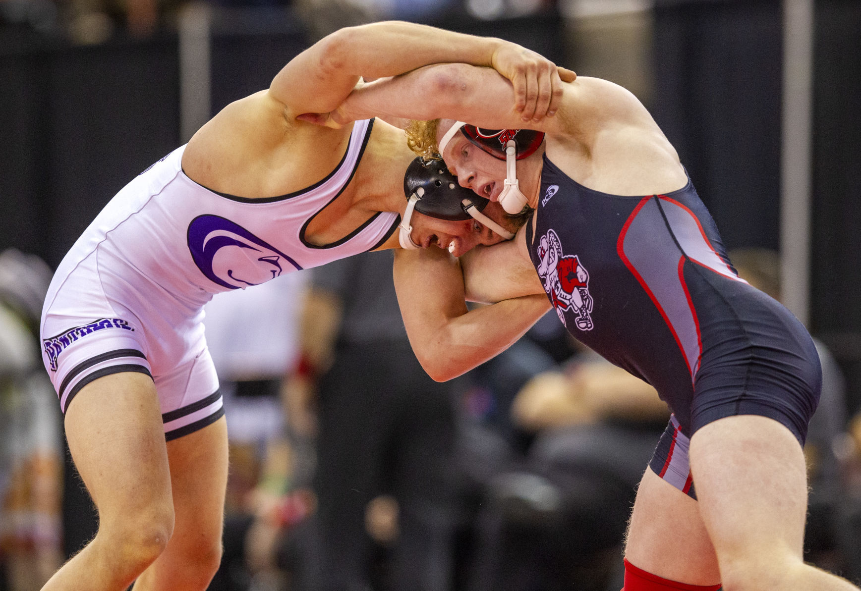 Idaho State Wrestling Championships